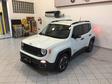 Jeep Renegade - Longarina 