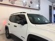 Jeep Renegade - Longarina 